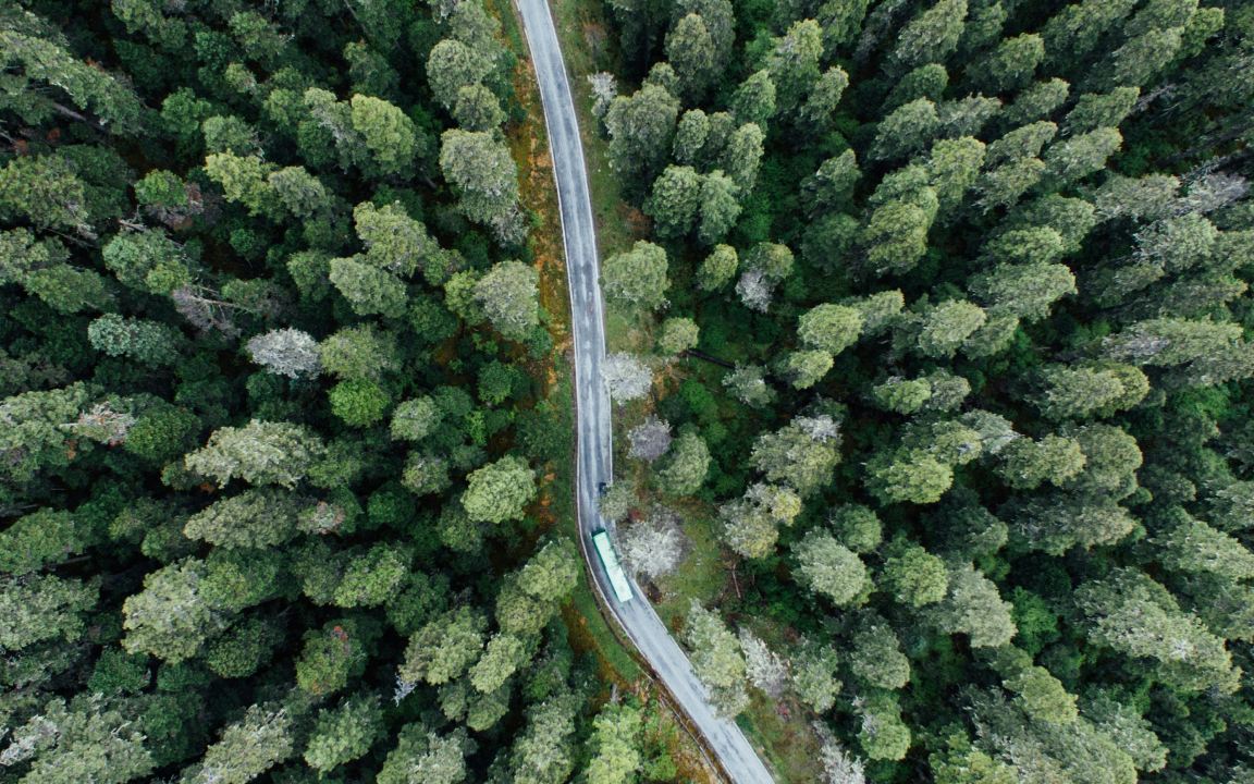 Environment
